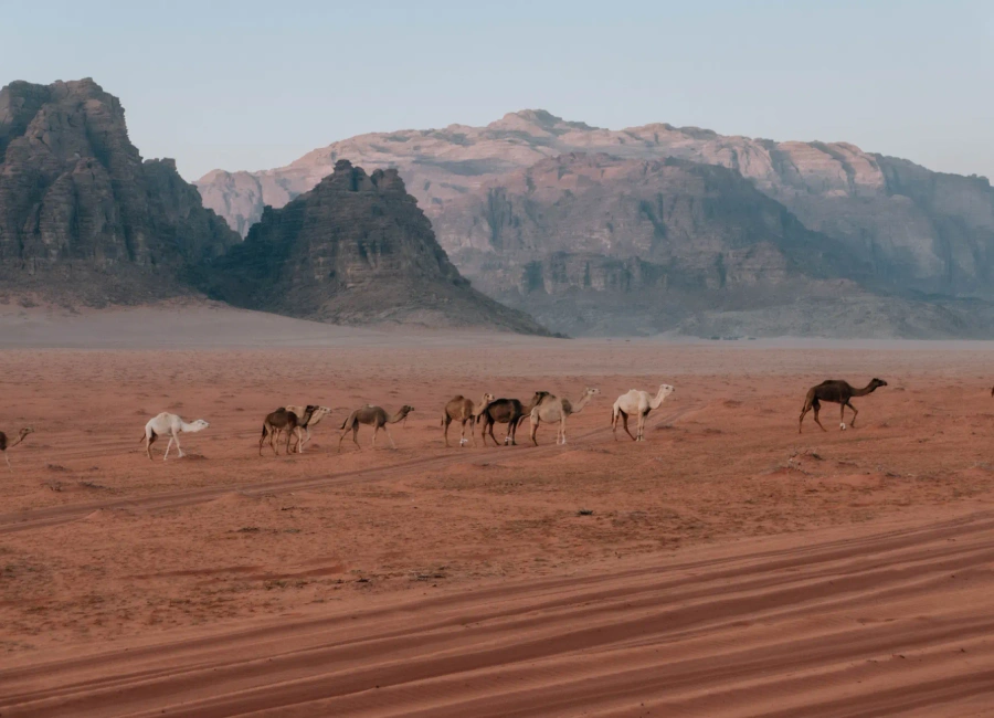 Jordanien Reise 2026
