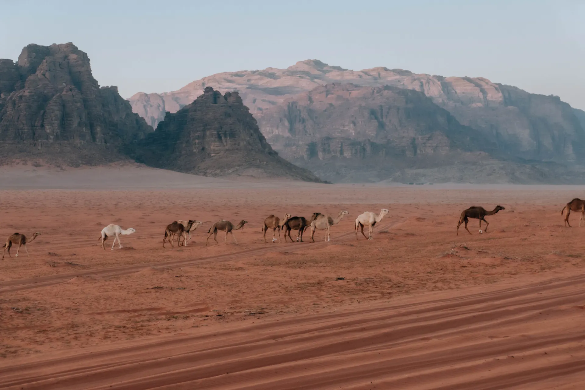 Jordanien Reise 2026