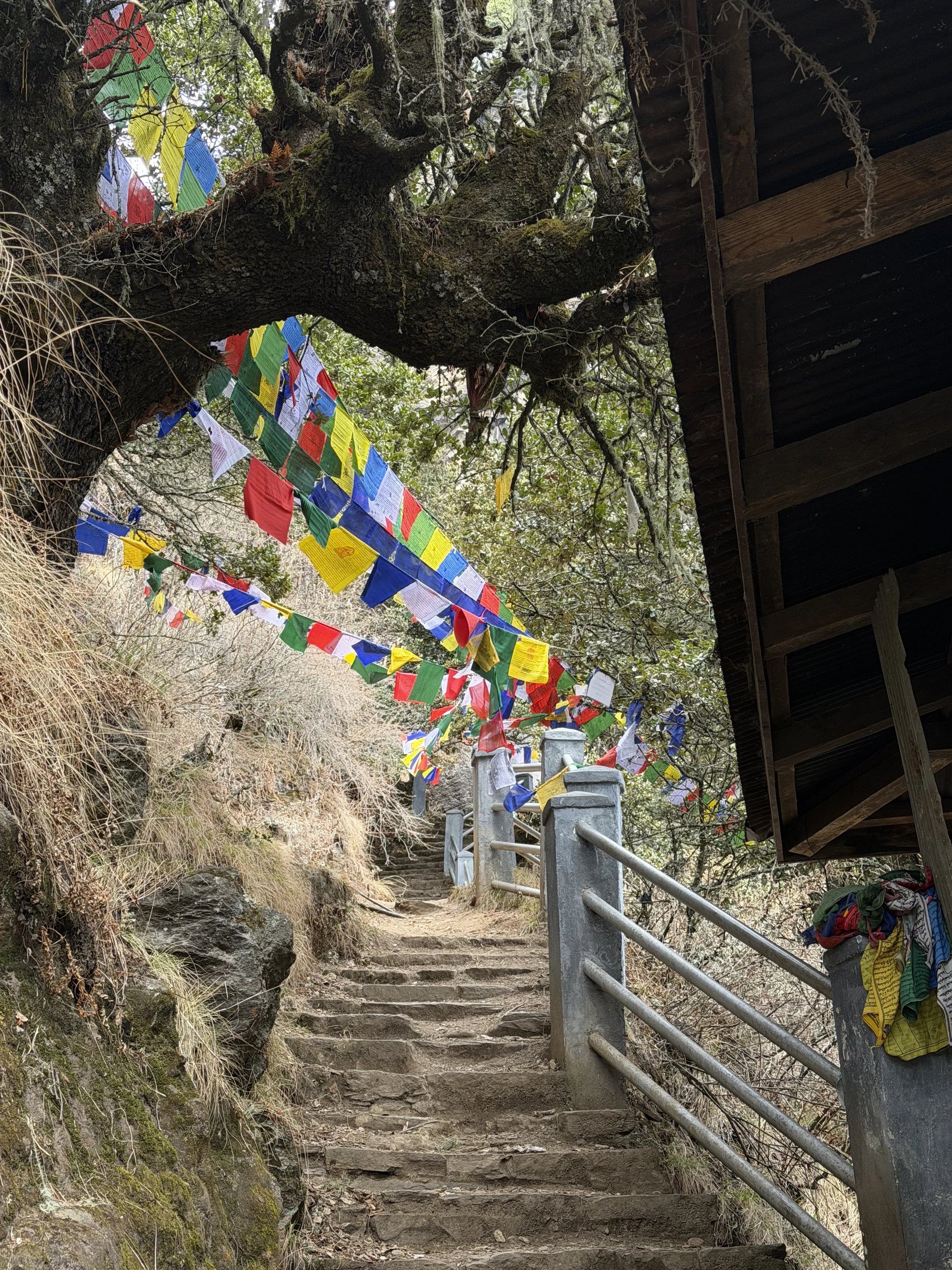 Bunte Gebetsfahnen hängen über einer Steintreppe auf dem Weg zum Kloster Taktsang.