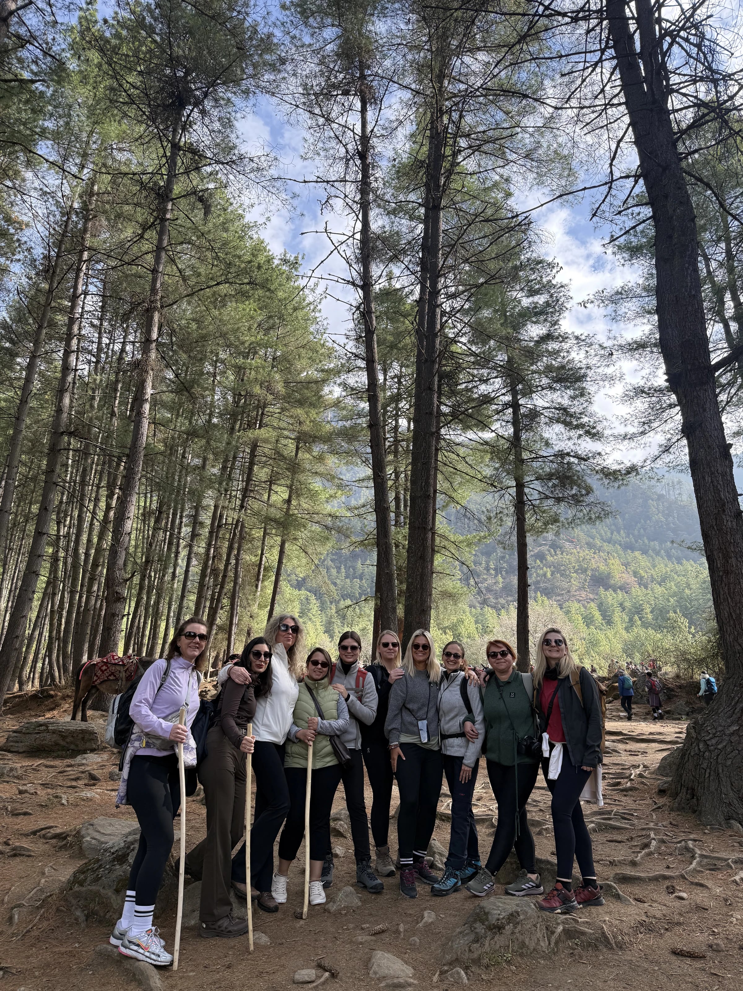 Wandergruppe steht zwischen hohen Kiefern auf dem Weg durch ein bhutanisches Waldtal.