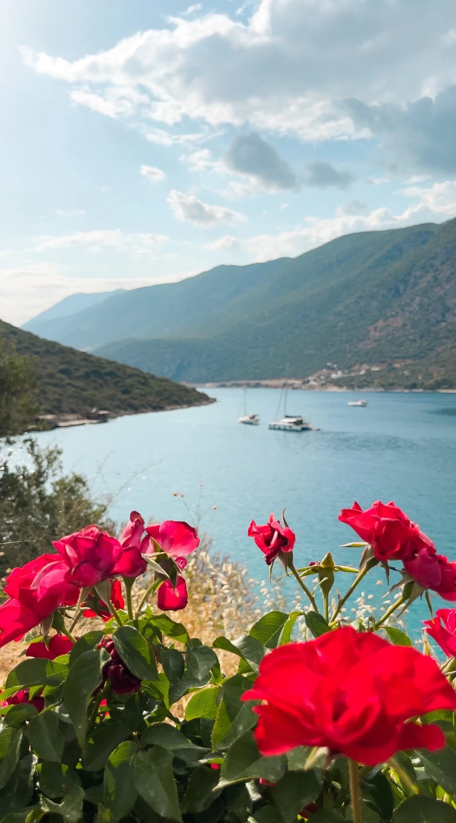 Rote Rosen im Vordergrund, dahinter eine türkisblaue Bucht mit Booten vor grünen Bergen.