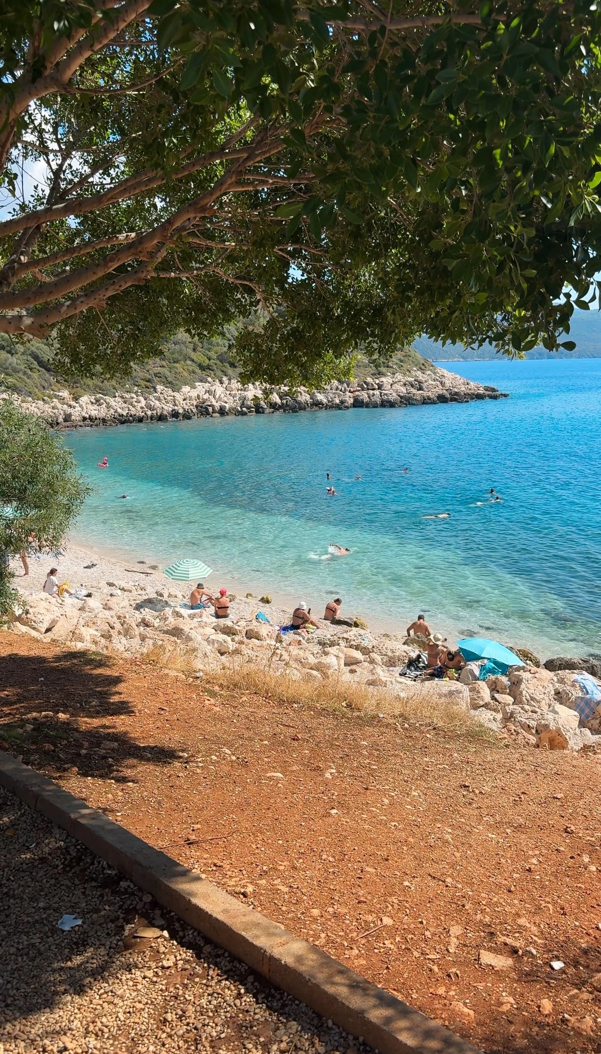 Ein kleiner Kieselstrand unter einem schattigen Baum mit glasklarem, türkisfarbenem Wasser.