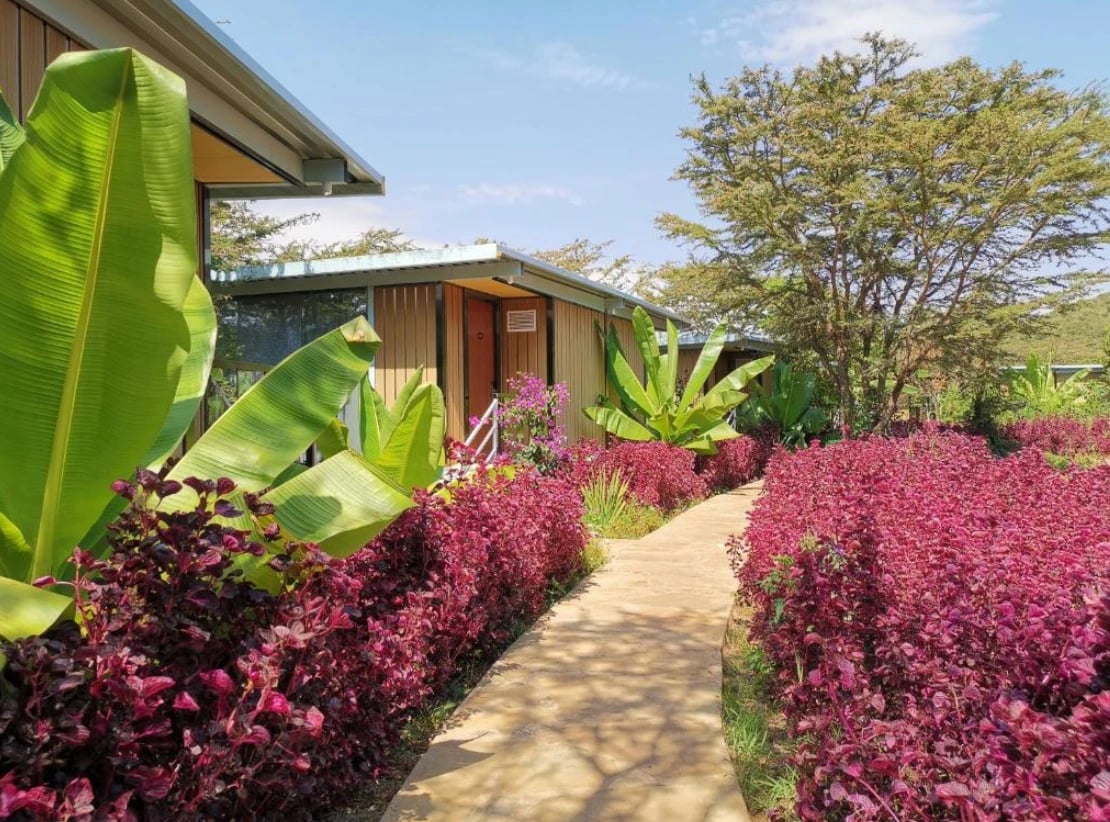 Ein Gartenweg zwischen roten Blattpflanzen und Bananenstauden führt zu den Lodge-Bungalows.