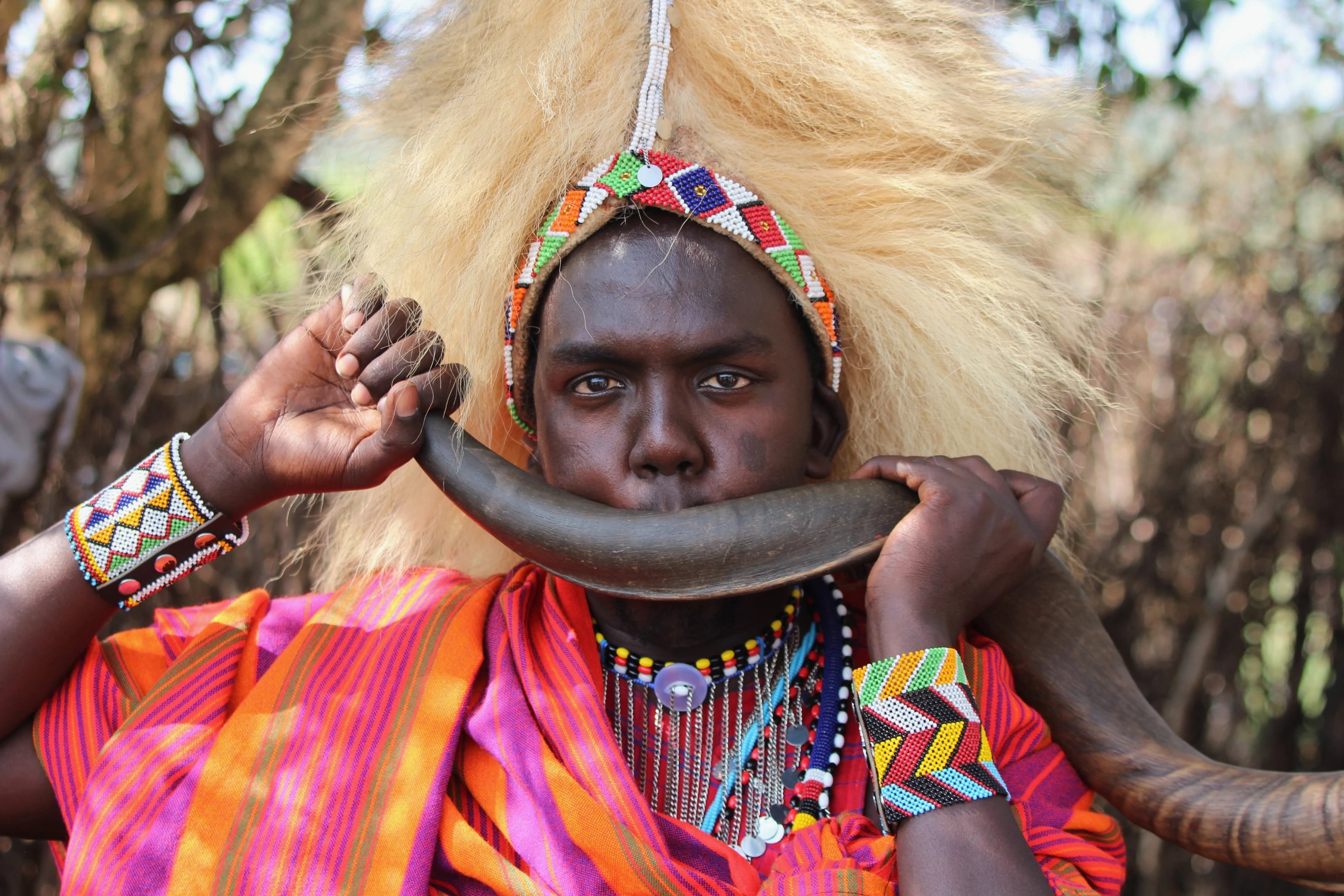 Ein Maasai Krieger mit Löwenmähnen-Kopfschmuck bläst in ein Horn.