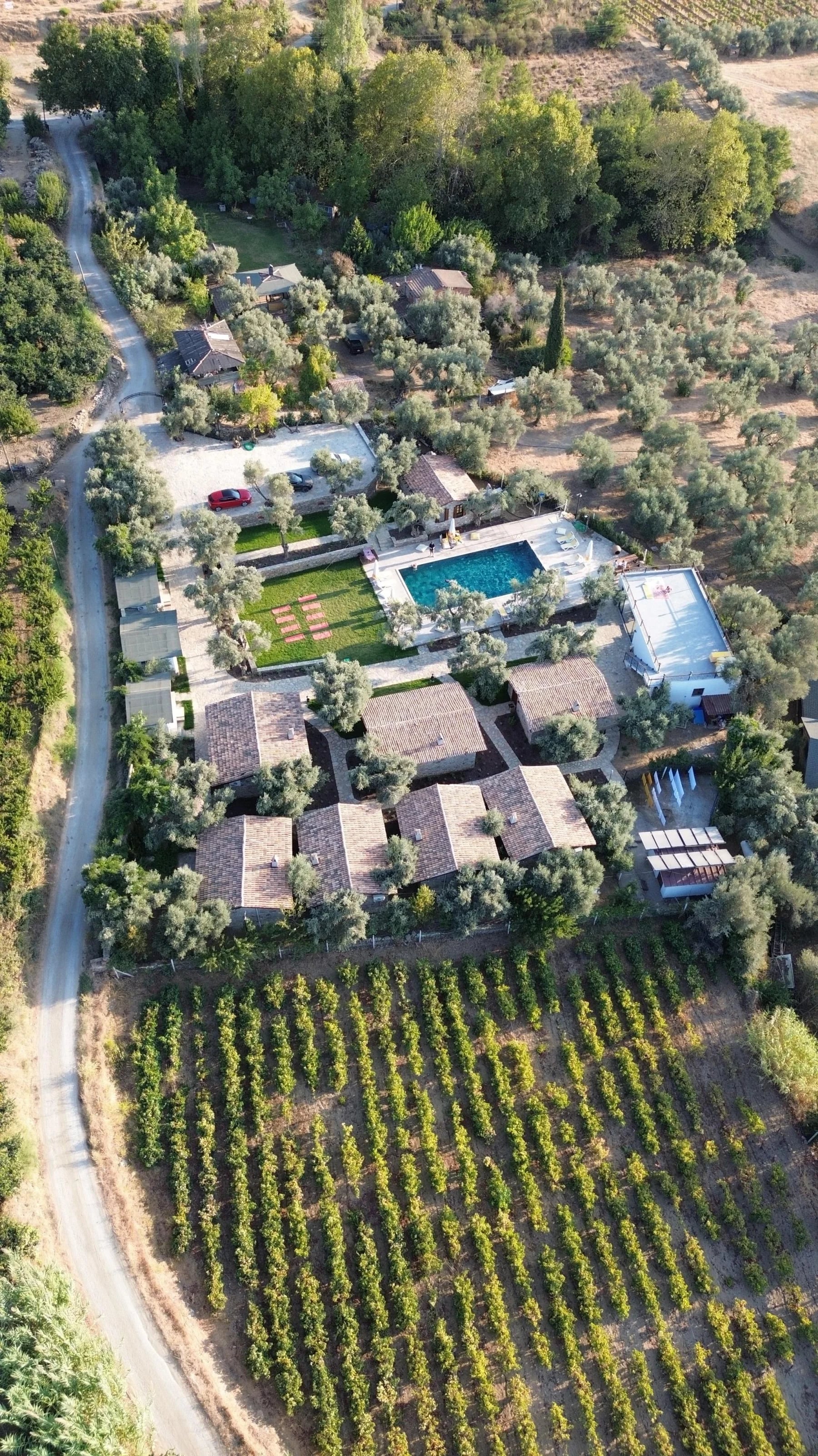 Luftaufnahme des Anwesens mit Pool, Steinhäusern, Olivenbäumen und angrenzenden Weinbergen.
