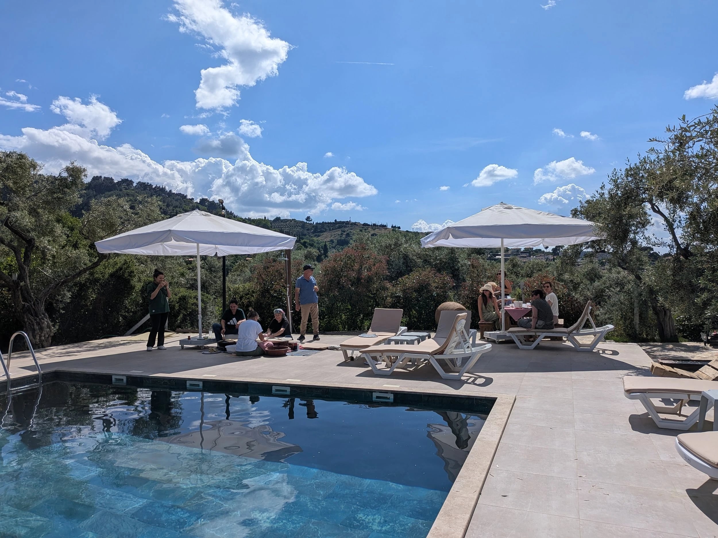 Weiße Sonnenschirme und Liegen am Pool, dahinter Olivenhaine unter blauem Himmel.
