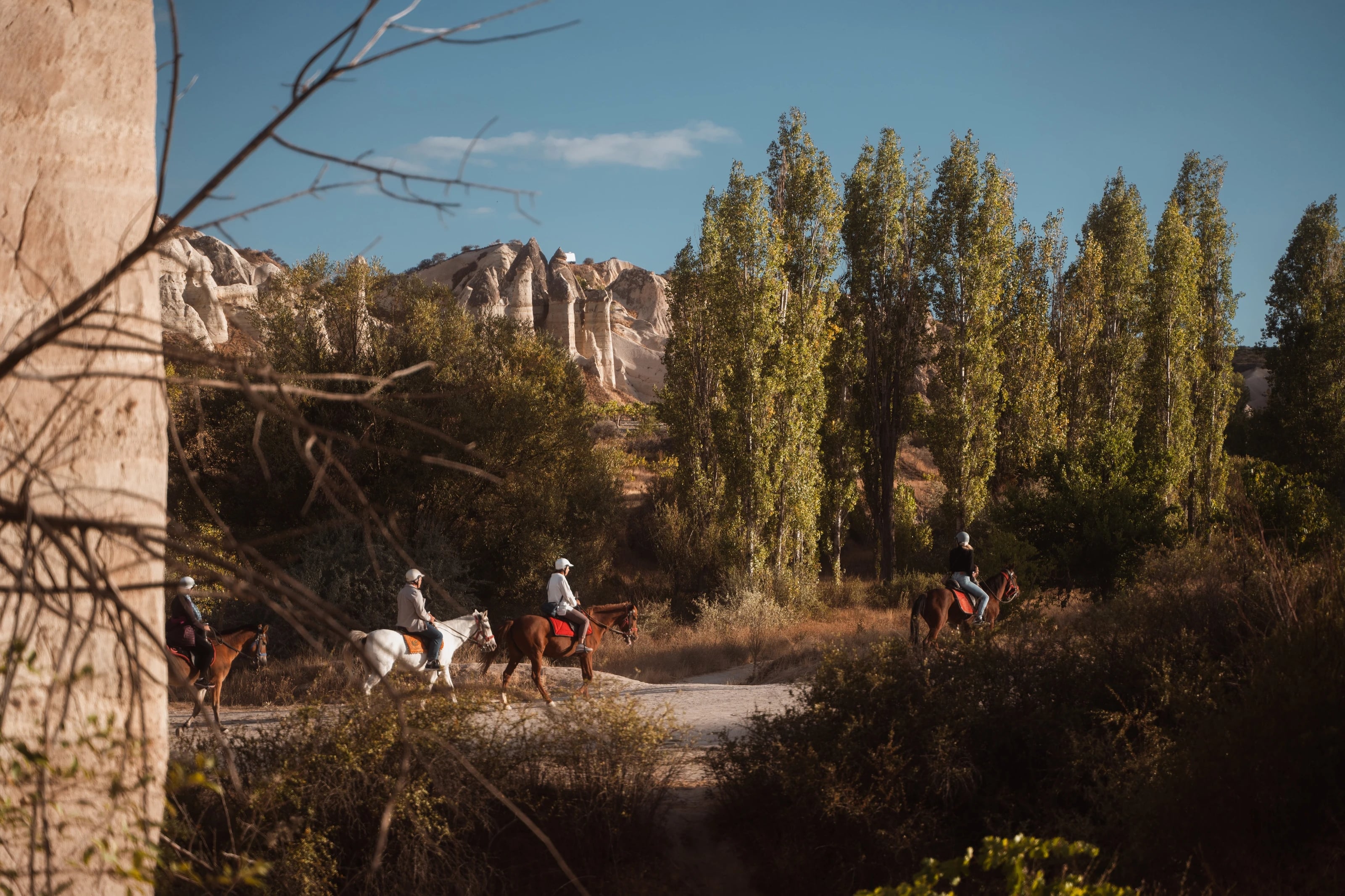 Reiterinnen und Reiter reiten zu Pferd durch die Landschaft Kappadokiens vor Pappeln und Feenkaminen.