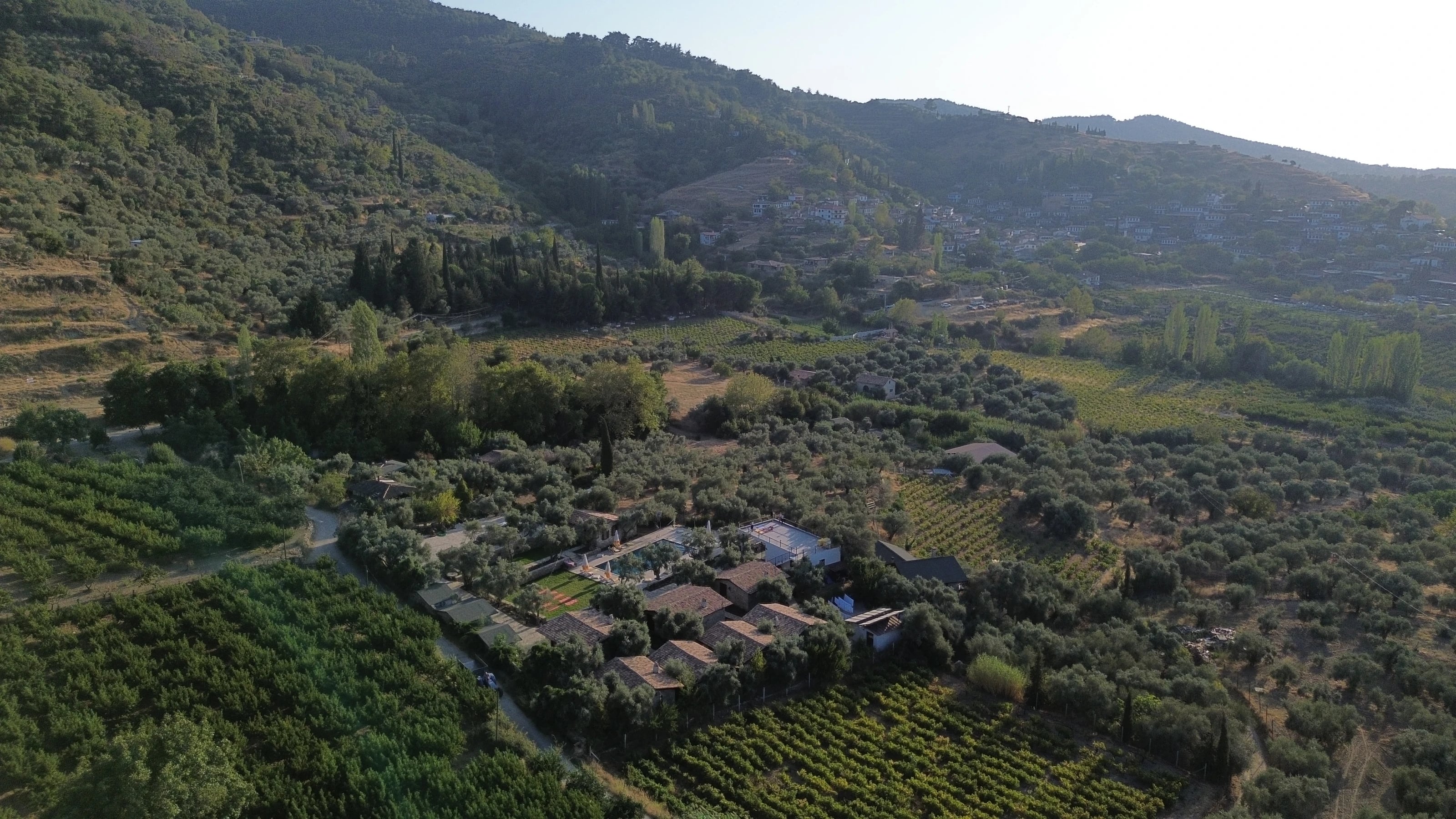 Luftaufnahme des Anwesens inmitten von Olivenhainen und Weinbergen in der Türkei.