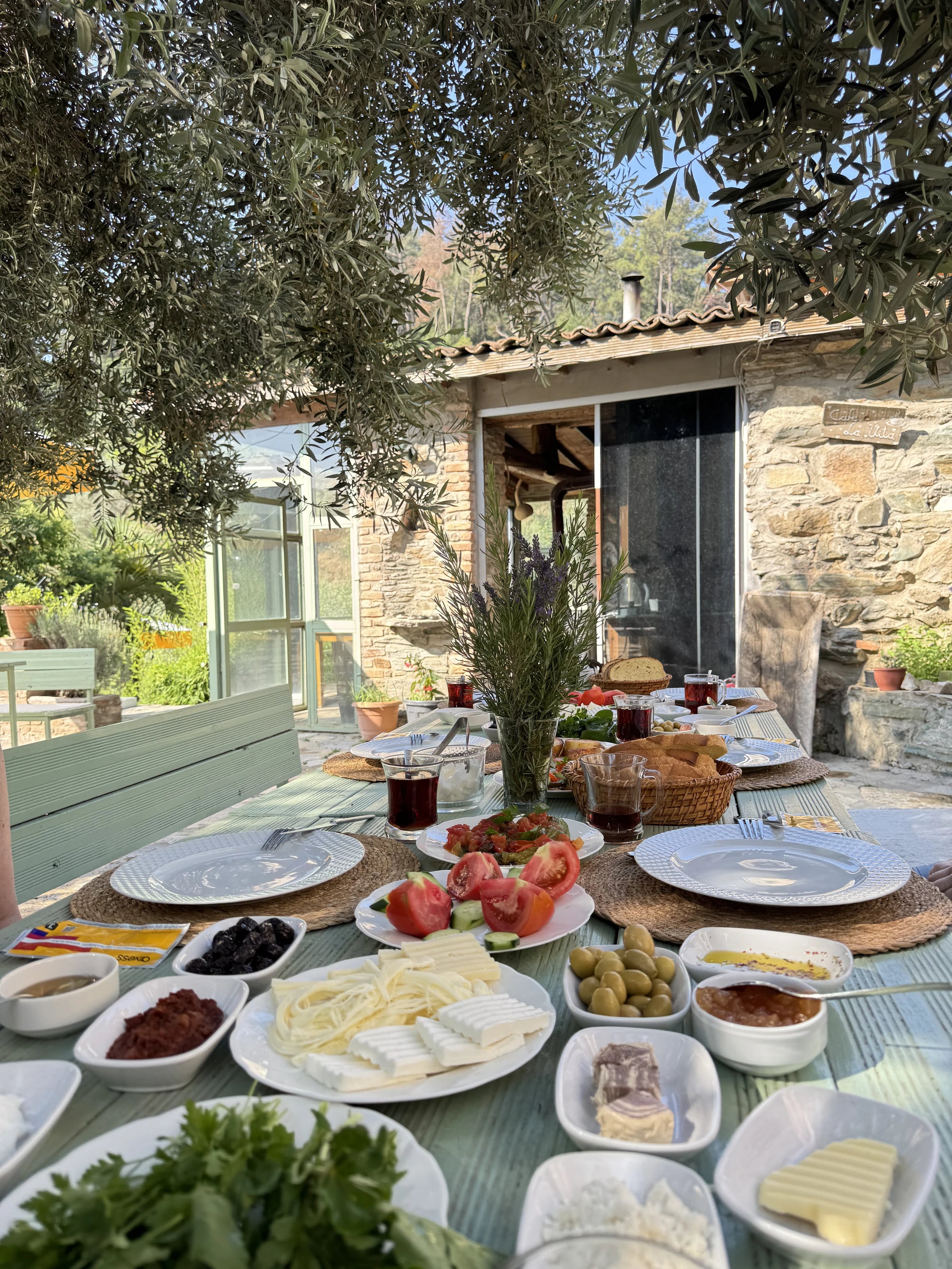 Traditionelles türkisches Frühstück auf der Terrasse unter Olivenbäumen