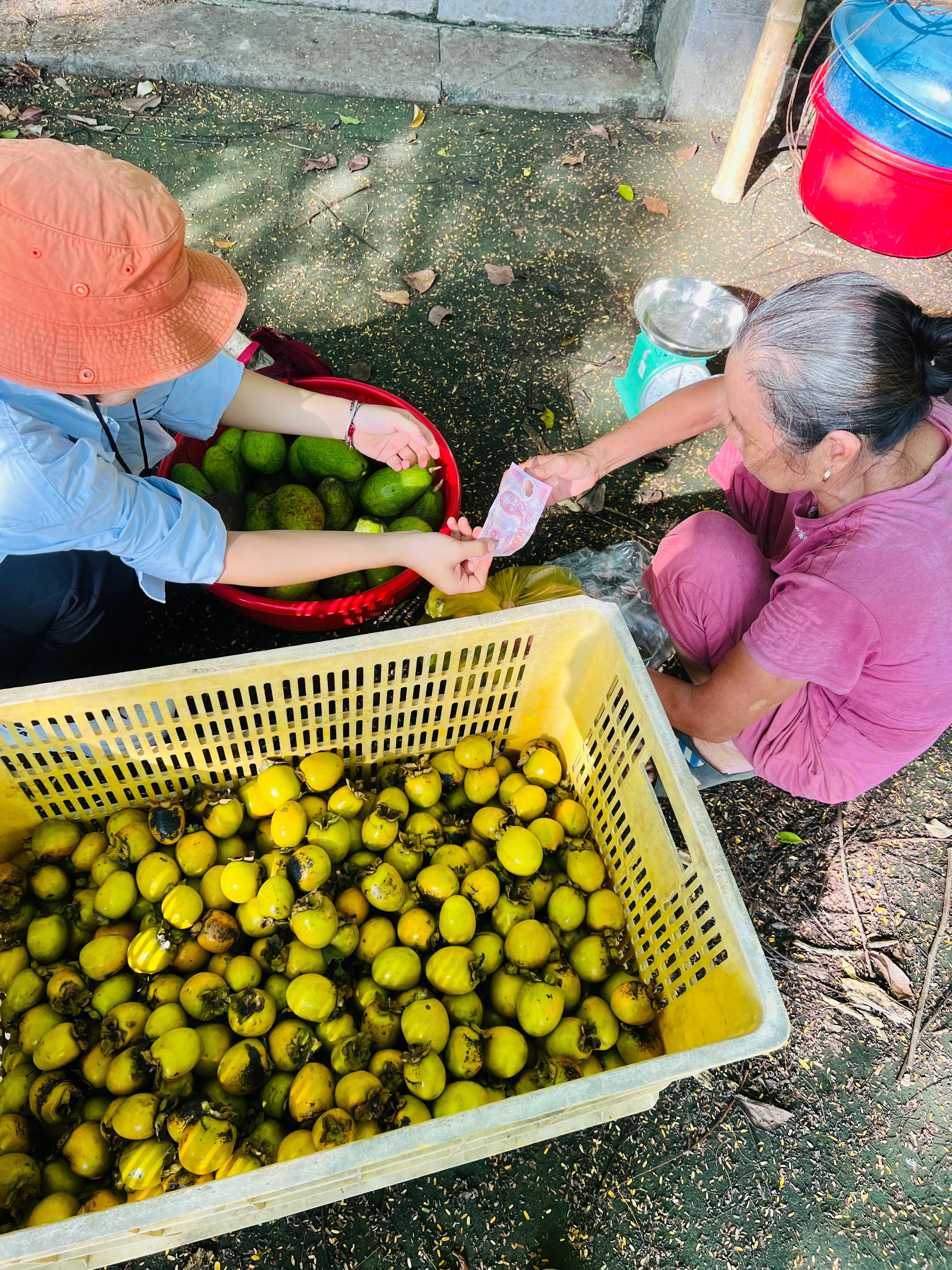 Eine ältere Frau verkauft Kakis und Papayas aus Kisten am Straßenrand im Tal von Thung Lau bei Van Long, eine Besucherin reicht ihr einen Geldschein.