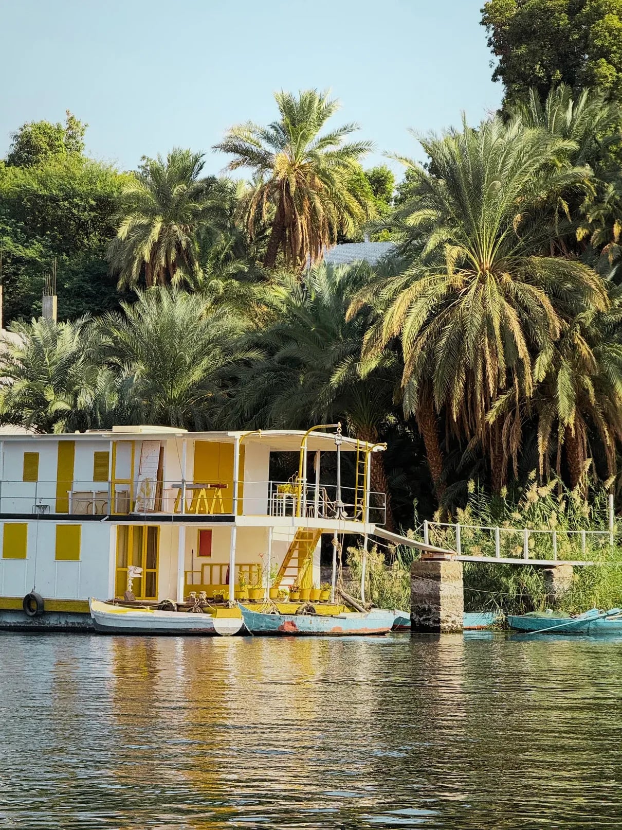 Ein gelb-weißes Hausboot liegt an einem Steg unter hohen Palmen am Nilufer vertäut.