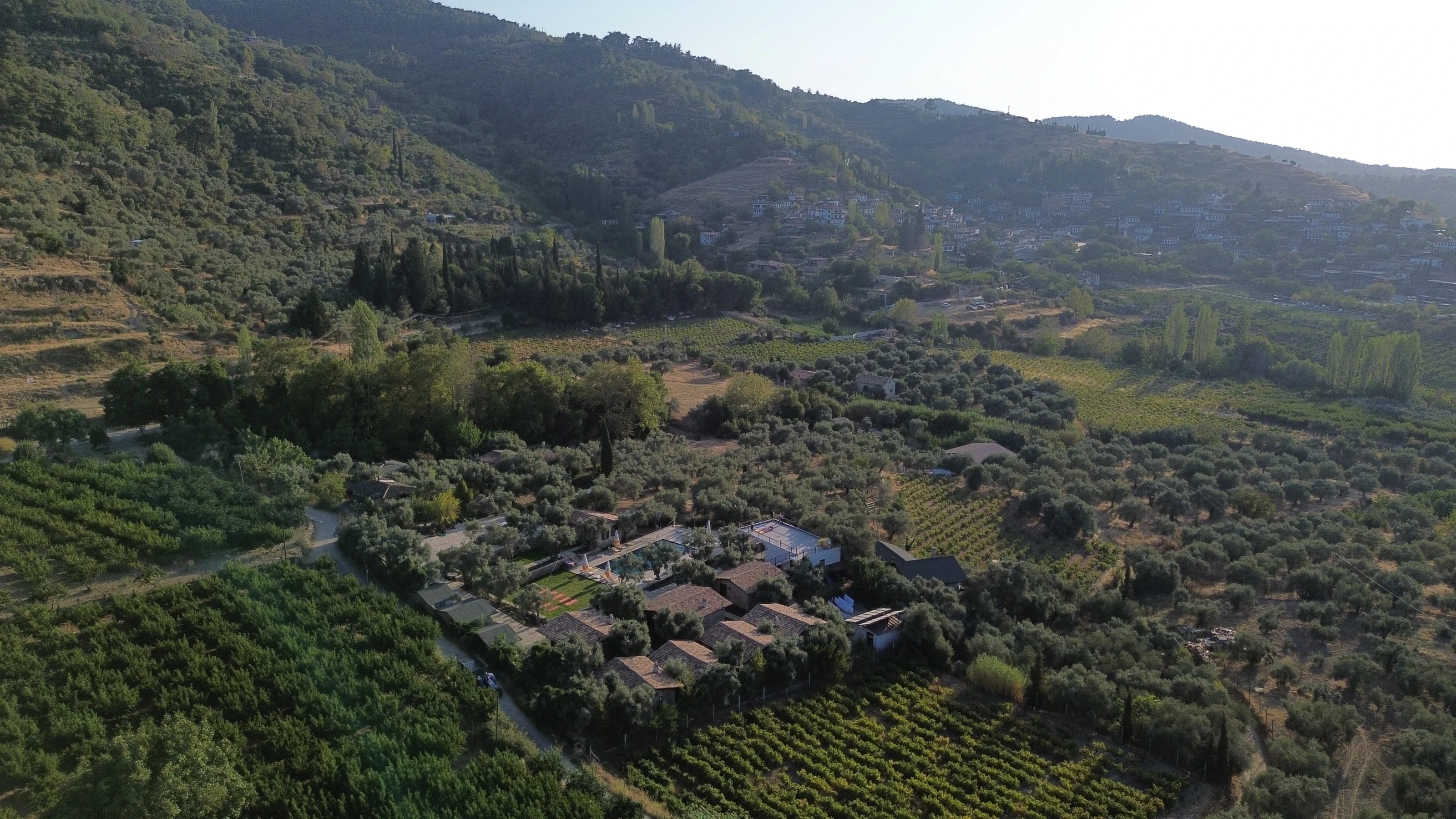 Luftaufnahme des Anwesens inmitten von Olivenhainen und Weinbergen in der Türkei.