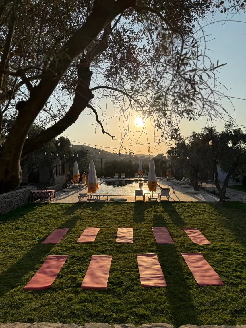 The Experience - Business Retreat 2026