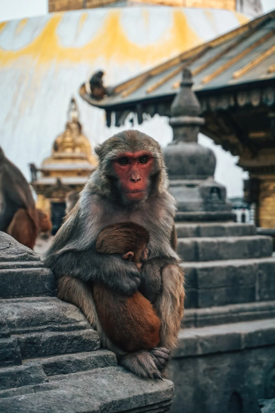 Nepal